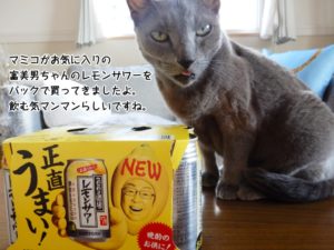 マミコがお気に入りの富美男ちゃんのレモンサワーをパックで買ってきましたよ。飲む気マンマンらしいですね。