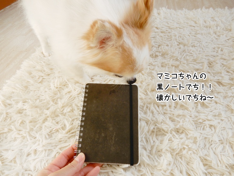 マミコちゃんの黒ノートでち！！懐かしいでちね〜