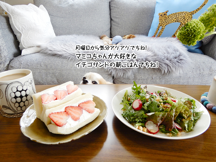 マミコちゃんが大好きなイチゴサンドの朝ごはんでちね！