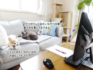 マミコがテレビみたいなやつを使って家でお仕事してるですよ。テレビみたいなのに向かってお話もしてたでち。
