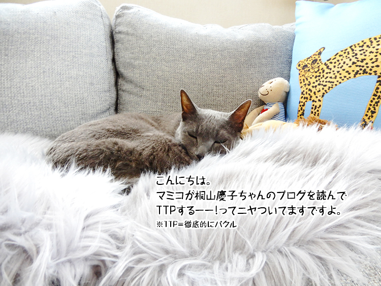 こんにちは。マミコ桐山慶子ちゃんのブログを読んでTTPするーーってニヤついてますですよ。