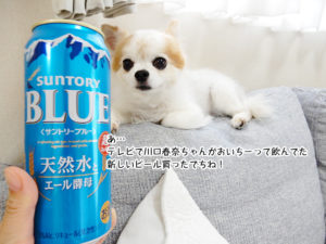 あ… テレビで川口春奈ちゃんがおいちーって飲んでた 新しいビール買ったでちね！