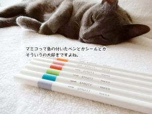 マミコって色の付いたペンとかシールとか そういうの大好きですよね。