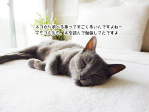 ネコから学べる事ってすごく多いんですよねー マミコも先日、本を読んで勉強してたですよ