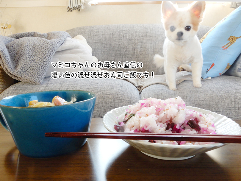 マミコちゃんのお母さん直伝の 凄い色の混ぜ混ぜお寿司ご飯でち！