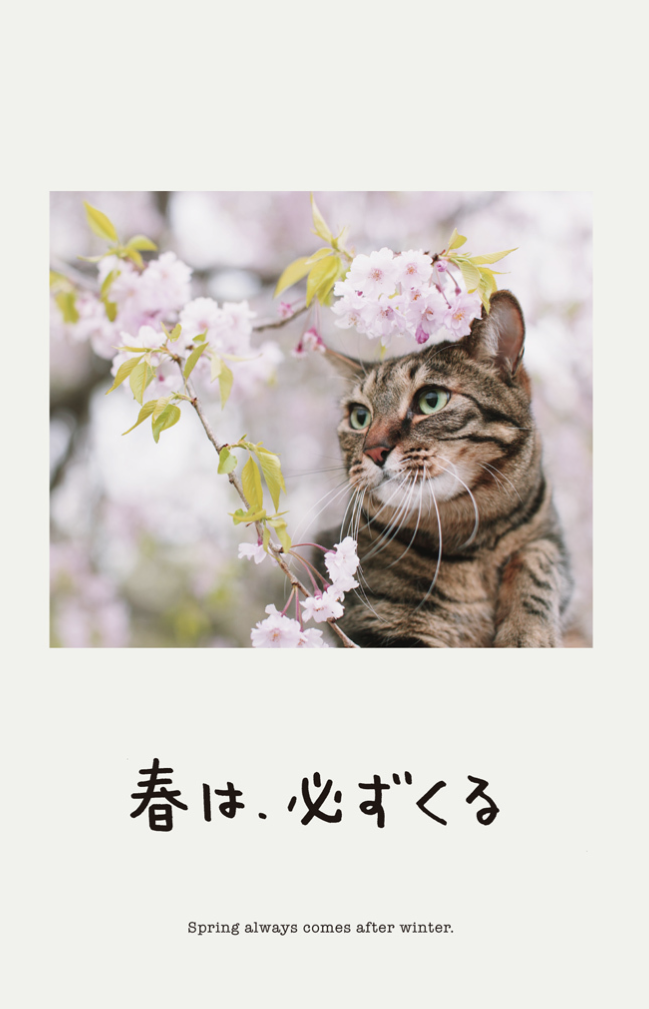 春は、必ずくる