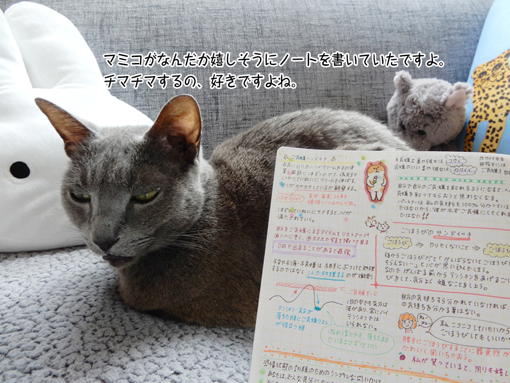 マミコがなんだか嬉しそうにノートを書いていたですよ。 チマチマするの、好きですよね。