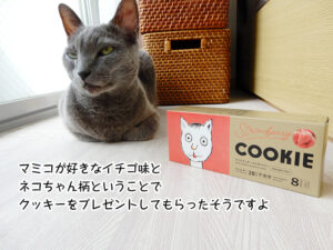マミコが好きなイチゴ味と ネコちゃん柄ということで クッキーをプレゼントしてもらったそうですよ
