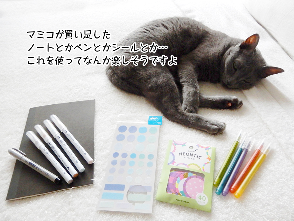 マミコが買い足した ノートとかペンとかシールとか… これを使ってなんか楽しそうですよ