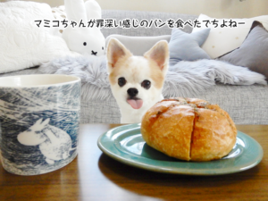 マミコちゃんが罪深い感じのパンを食べたでちよねー