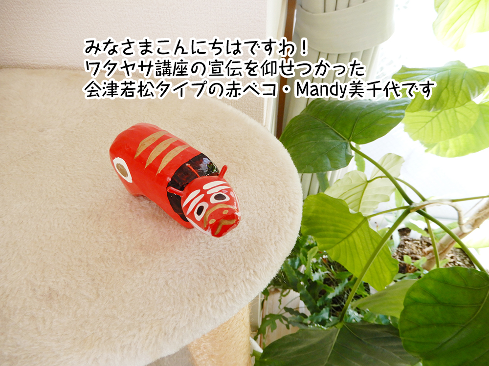 みなさまこんにちはですわ！
ワタヤサ講座の宣伝を仰せつかった
会津若松タイプの赤ベコ・Mandy美千代です