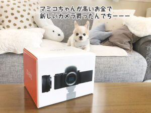 マミコちゃんが高いお金で 新しいカメラ買ったんでちーーー