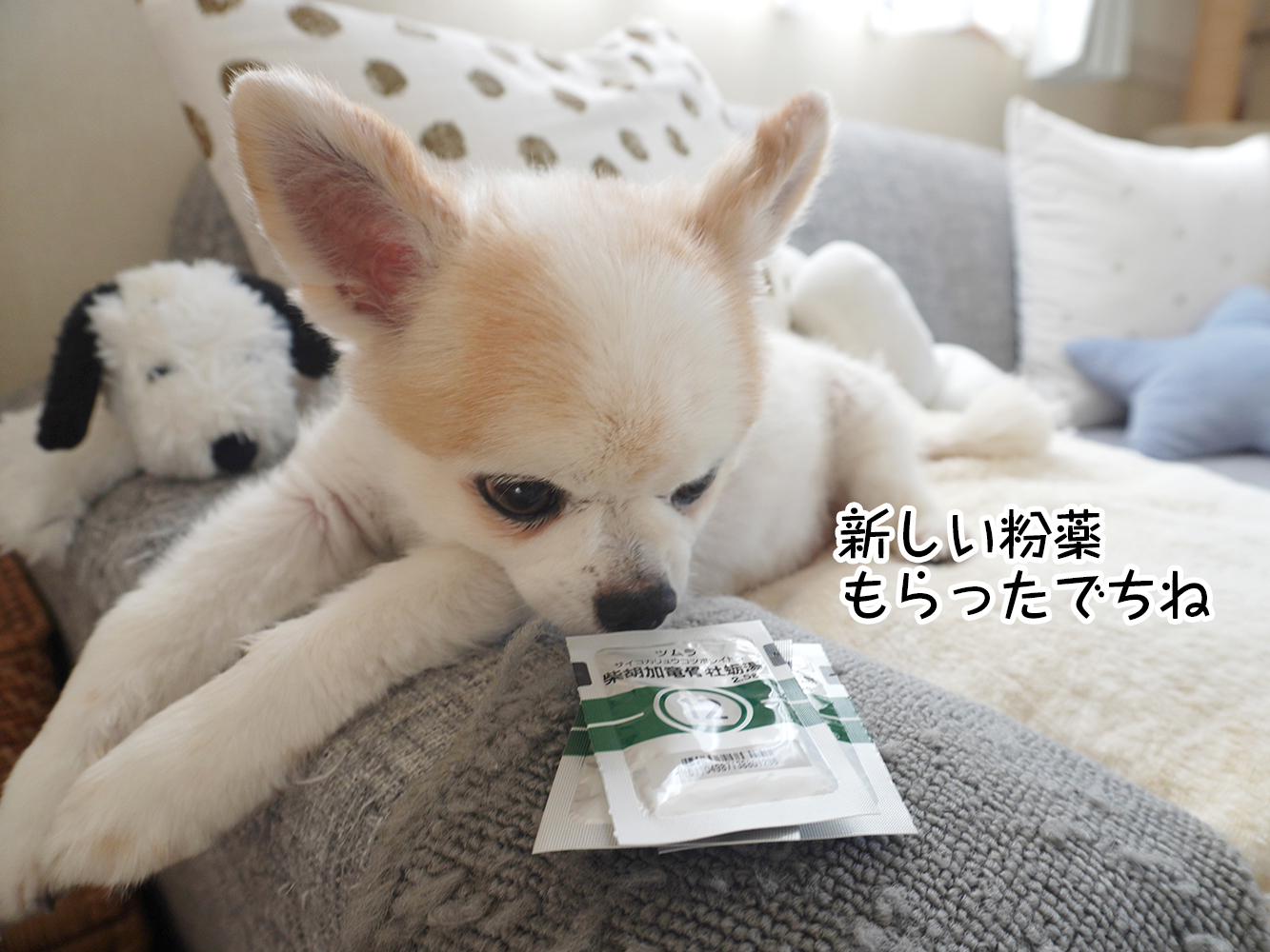 こじつけでも「その気」になってくるのが不思議 ~そう思うとそう見えてくる~