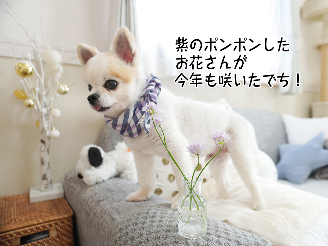 色んなことを難しく考えちゃうけれど、どんなこともきっとシンプルなんだろうな。うん、きっと。
