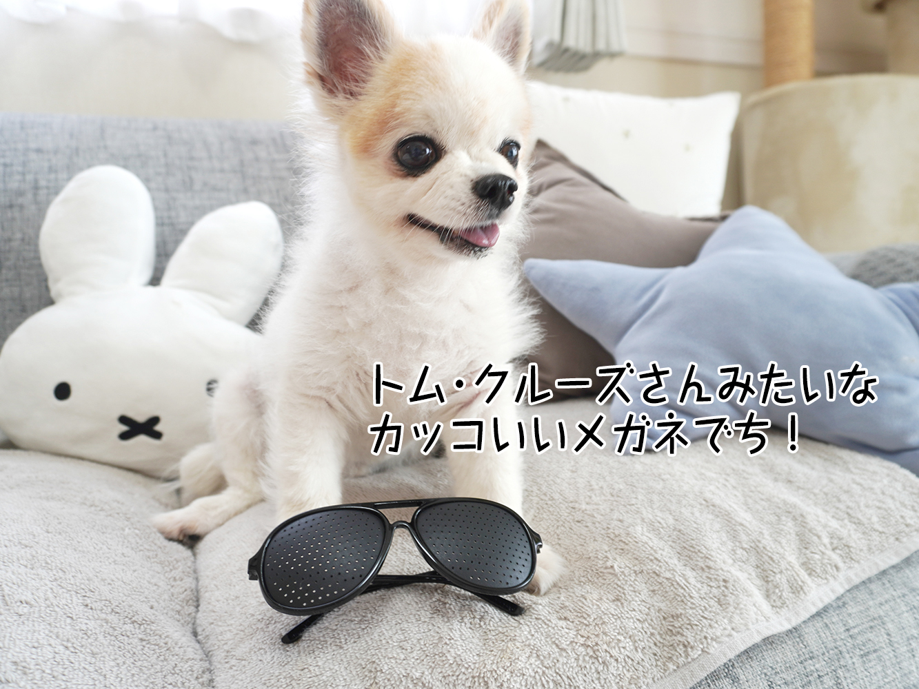 眠る前の優しい言葉 ~頑張り屋さんの私たちだからこそ、焦る自分に届けましょ~
