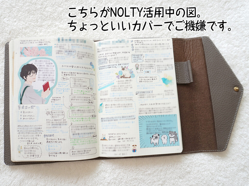 こちらがNOLTY活用中の図。ちょっといいカバーでご機嫌です。