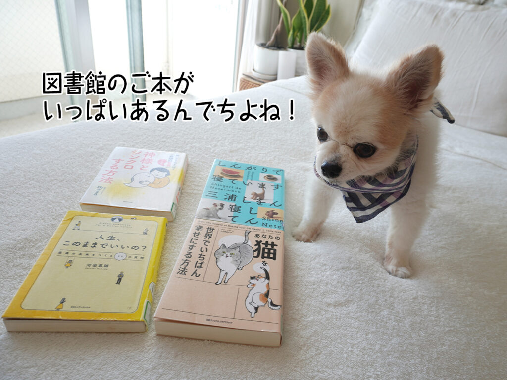 図書館のご本がいっぱいあるんでちよね！