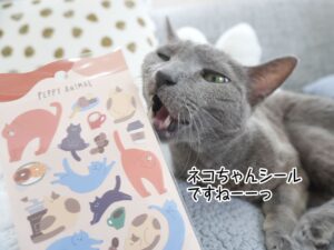 ネコちゃんシールですねーーっ