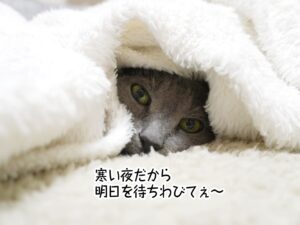 寒い夜だから明日を待ちわびてぇ～