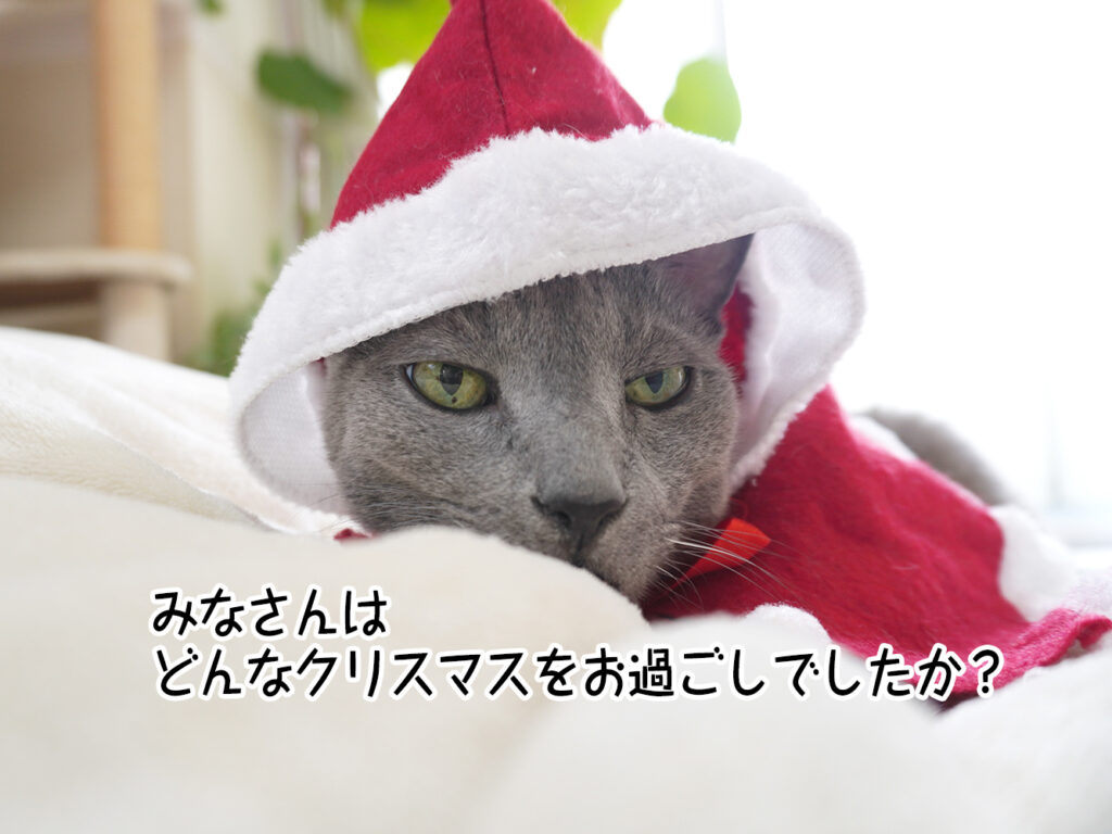 みなさんはどんなクリスマスをお過ごしでしたか？