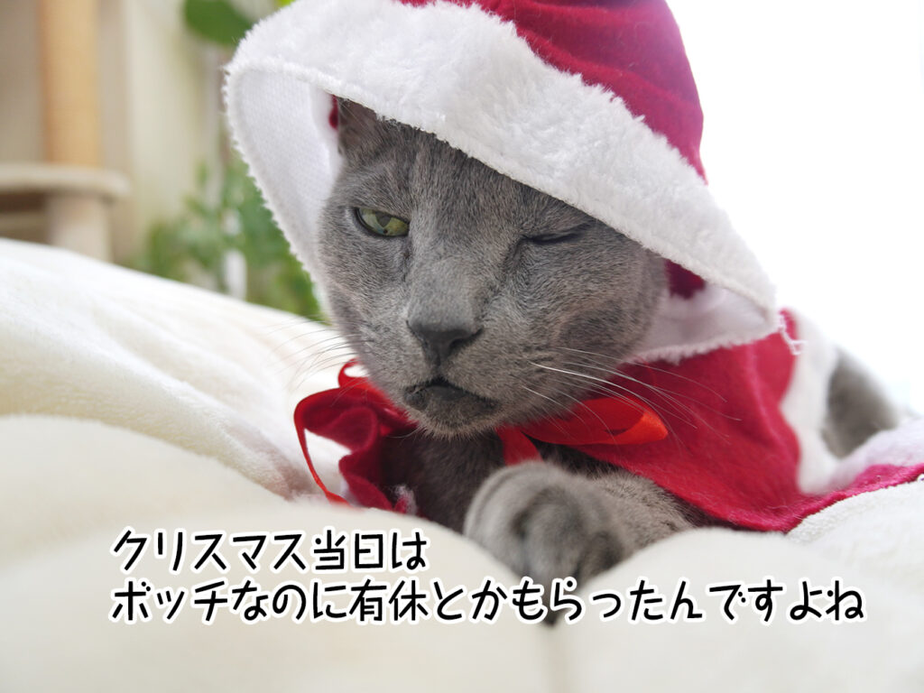 クリスマス当日はボッチなのに有休とかもらったんですよね