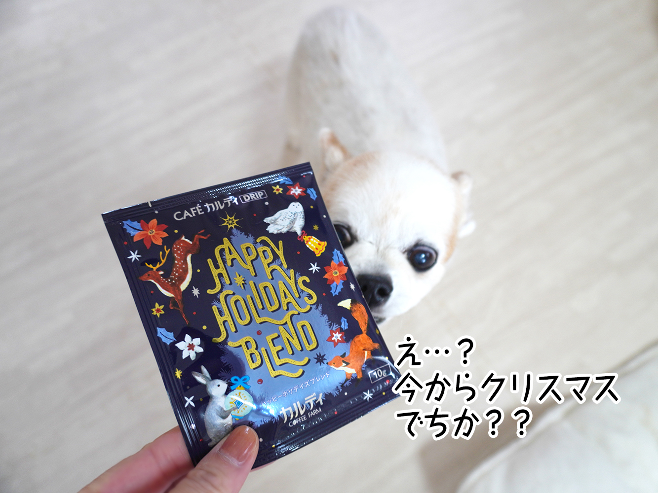 だって冬だし!動かないでじっとして、時が来るのを待つのだってありなんじゃない?