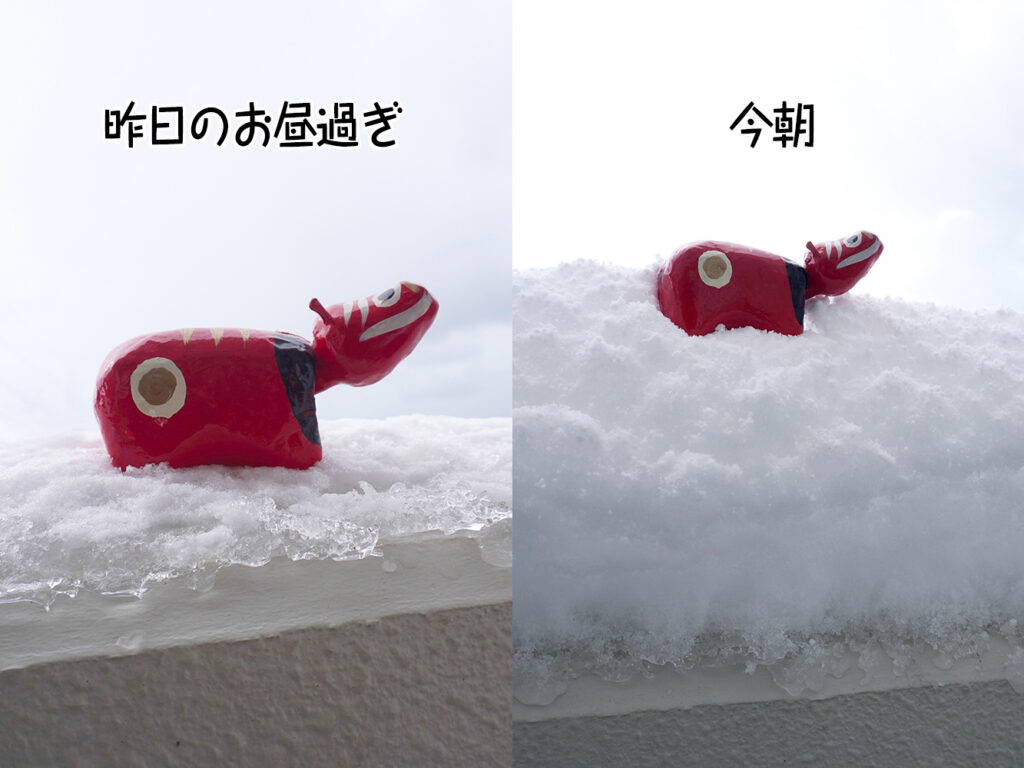 美千代の積雪比較