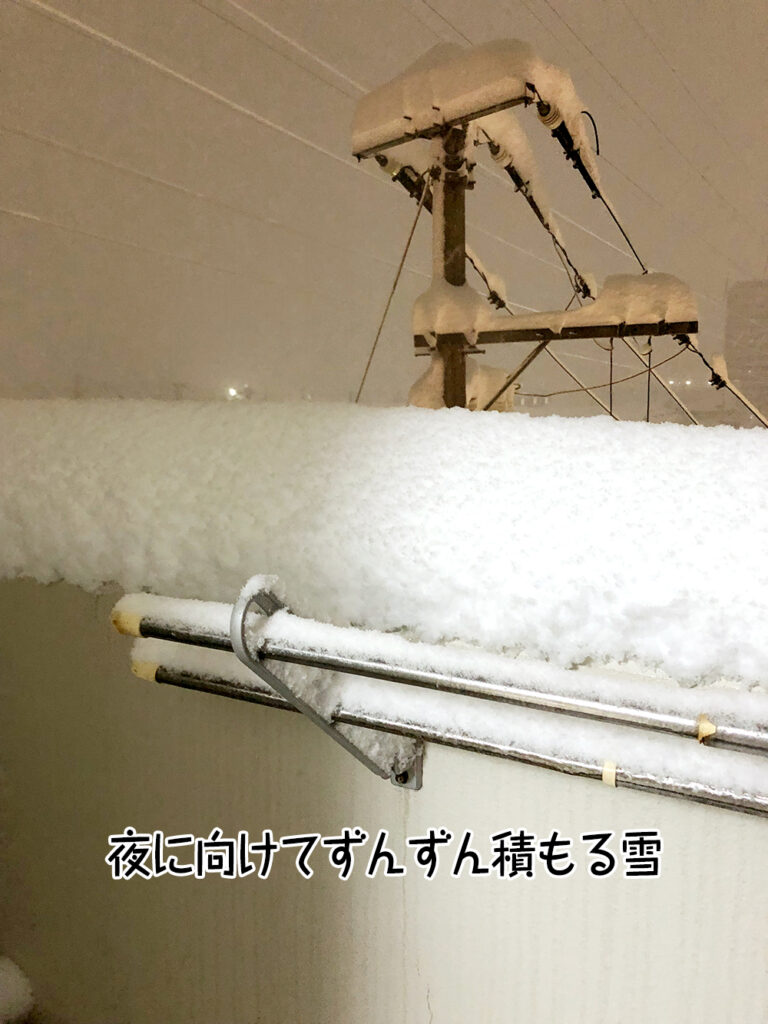 夜に向けてずんずん積もる雪