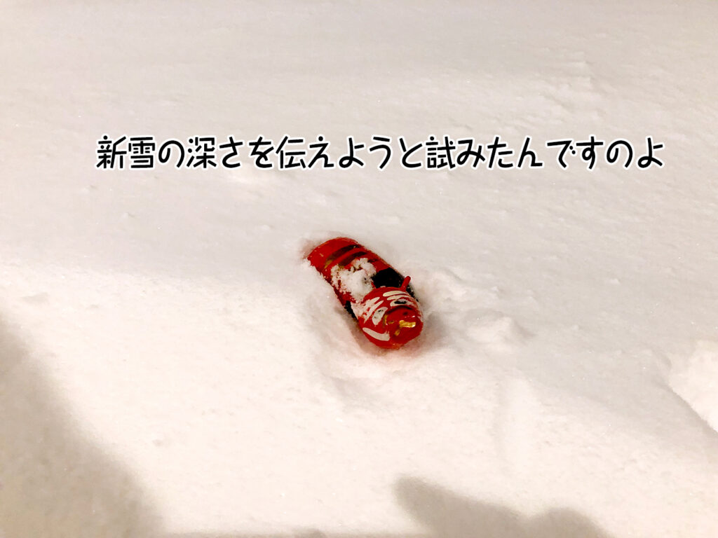 新雪の深さを伝えようと試みたんですのよ