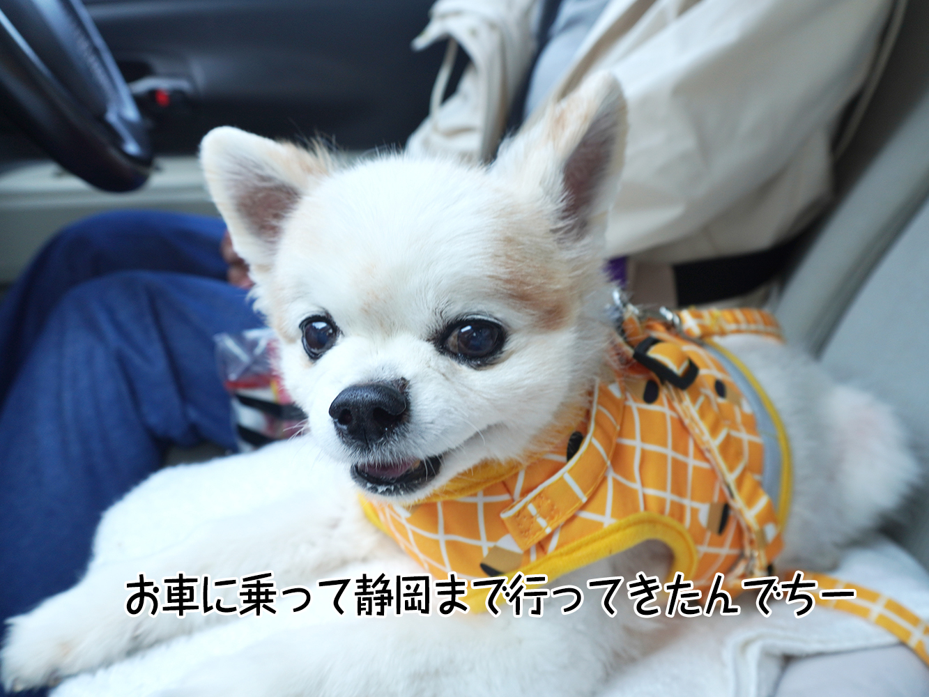 ウダウダ悩む時間があってもいい。悩むのがしんどくなって行動できるようになったから、仁くんの手術が決まりました!