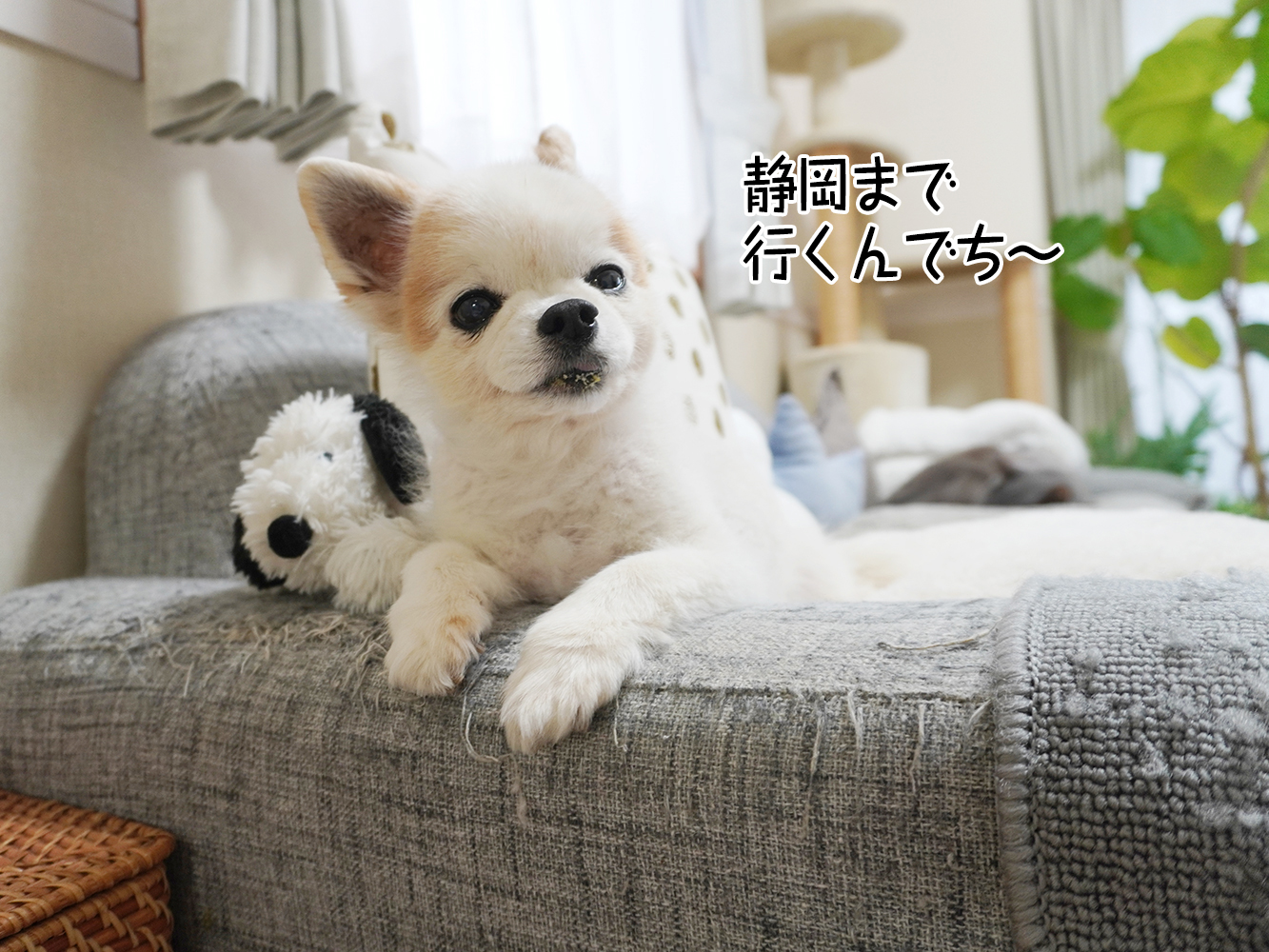 仁くん、またね。ずっとずっと大好きだよ。ありがとう。