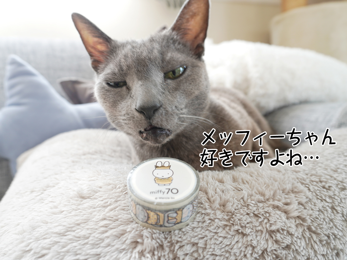 色んなものを自由に「そうかも!」って思いこみながら、自分を助けていければいい