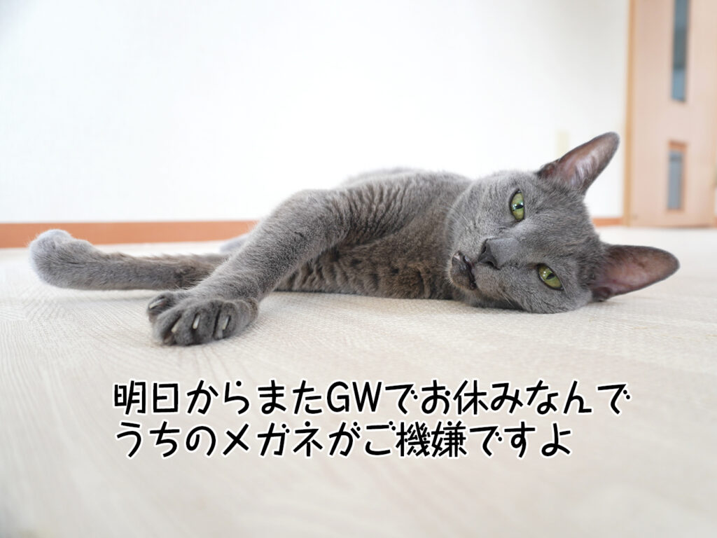 明日からまたGWでお休みなんでうちのメガネがご機嫌ですよ