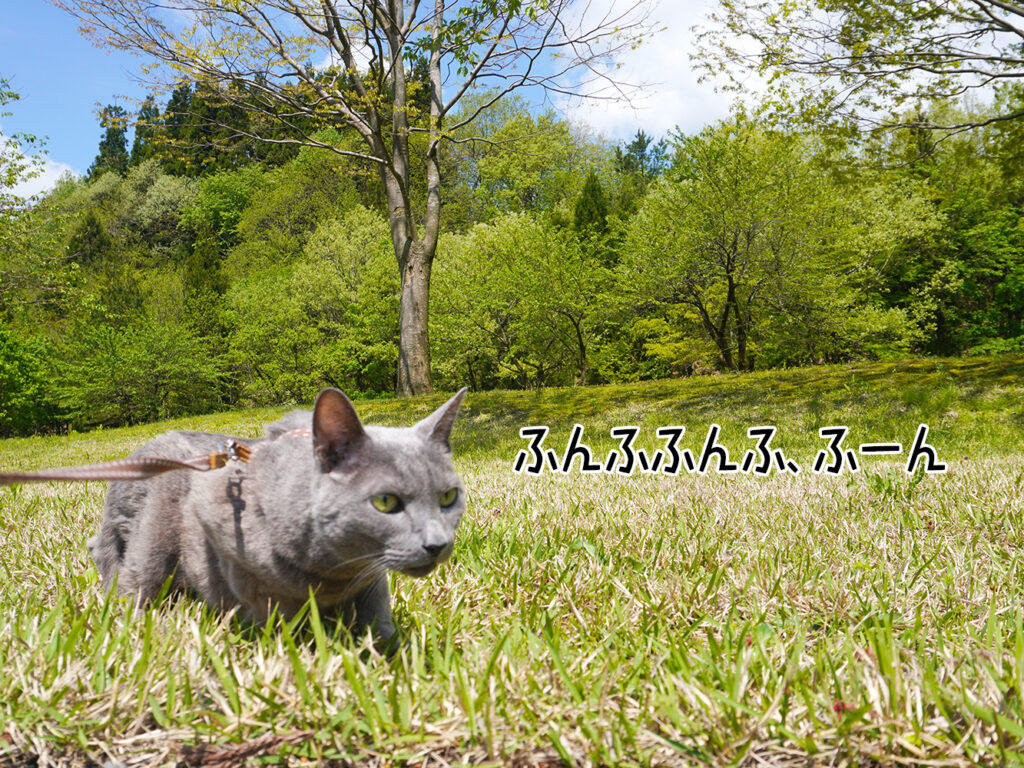 ふんふふんふ、ふーん