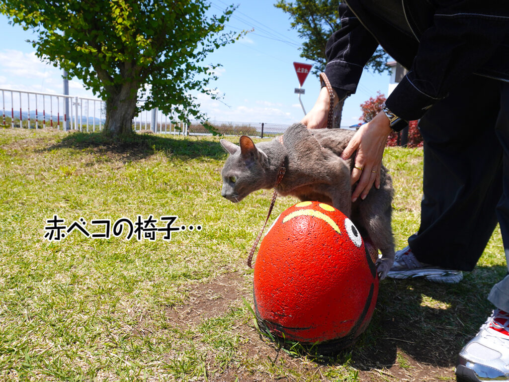 赤ベコの椅子…