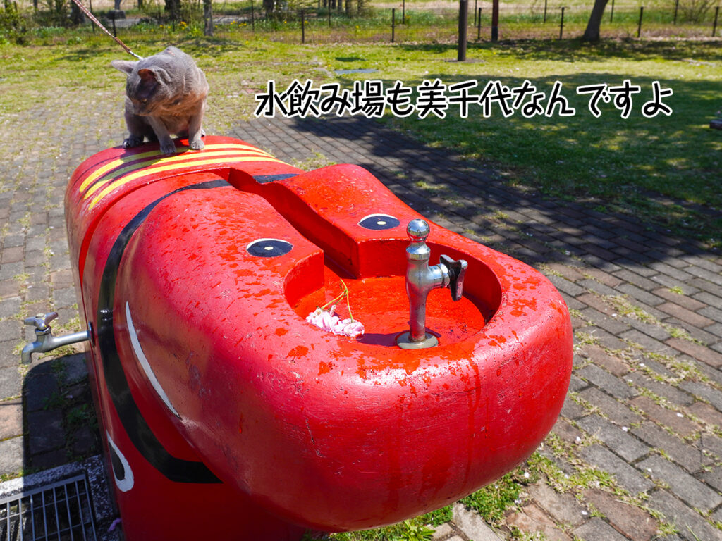 水飲み場も美千代なんですよ
