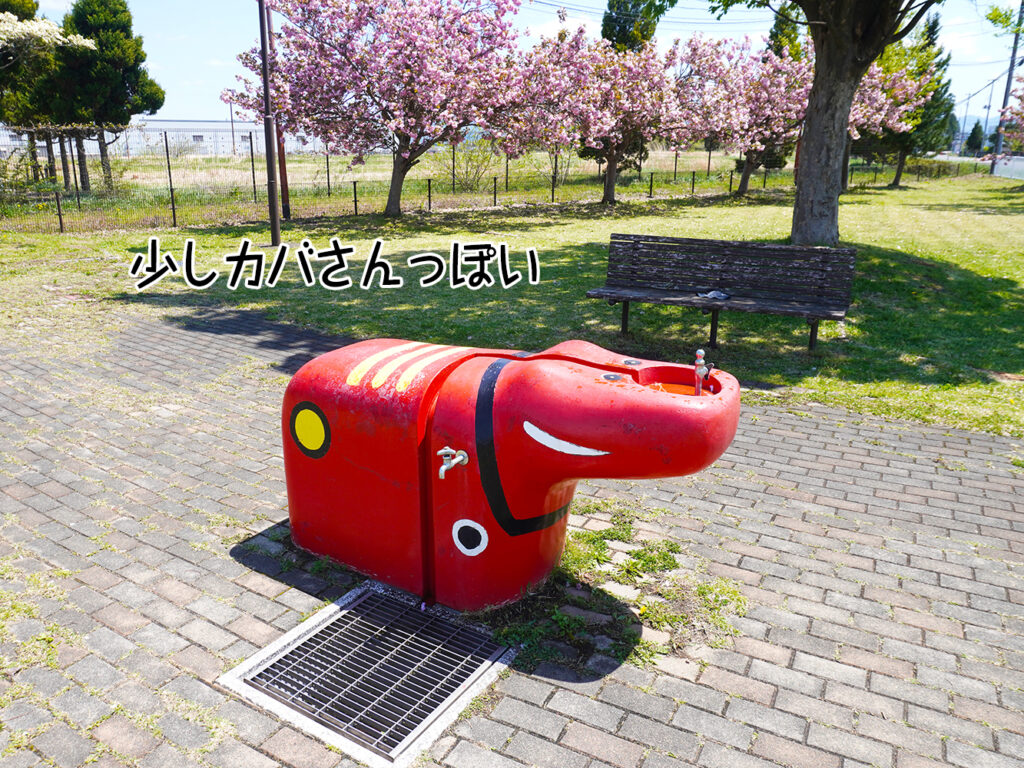 少しカバさんっぽい