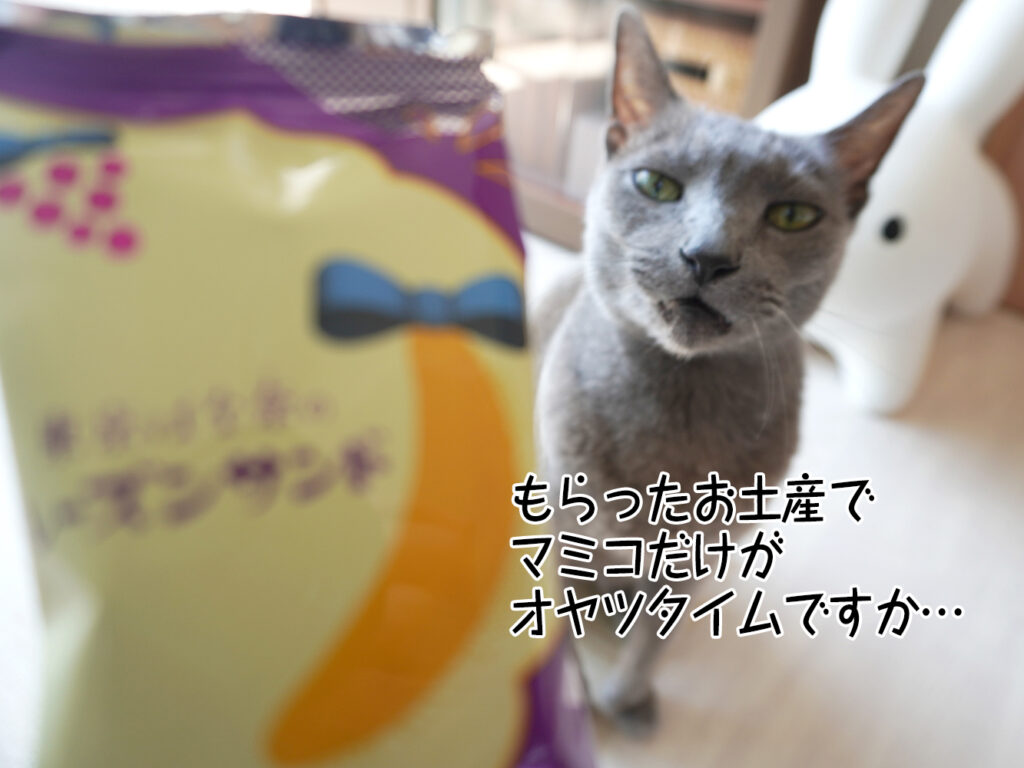 もらったお土産でマミコだけがオヤツタイムですか…