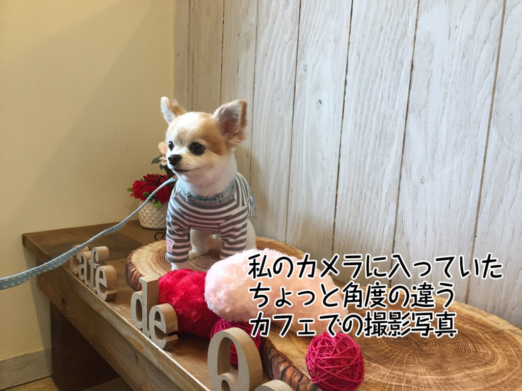 私のカメラに入っていたちょっと角度の違うカフェでの撮影写真
