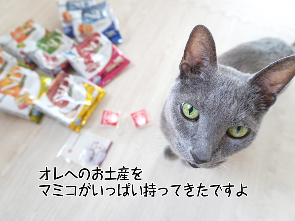 オレへのお土産をマミコがいっぱい持ってきたですよ