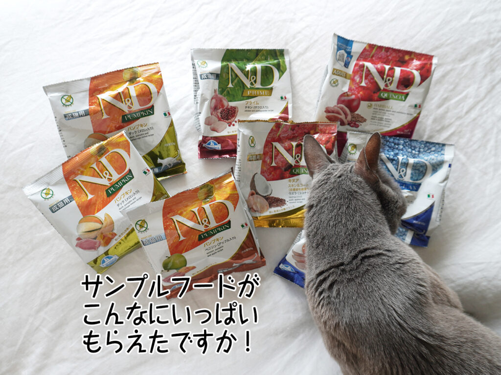サンプルフードがこんなにいっぱいもらえたですか!