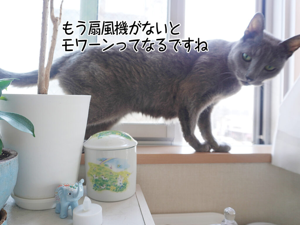 もう扇風機がないとモワーンってなるですね