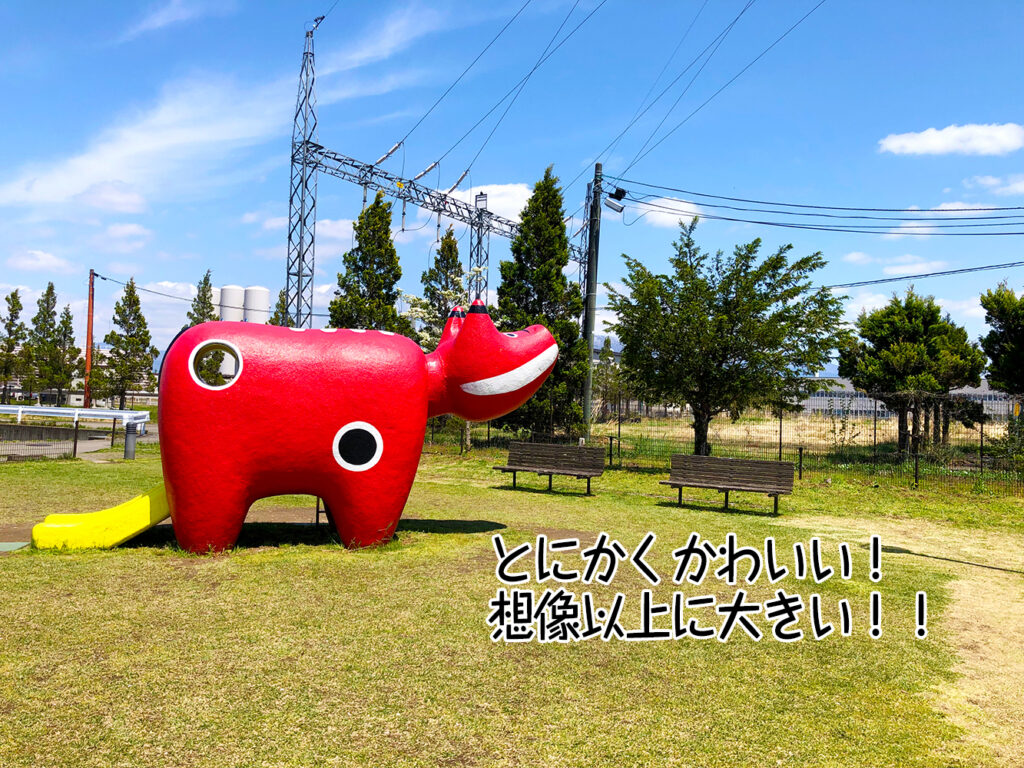 とにかくかわいい!想像以上に大きい!!
