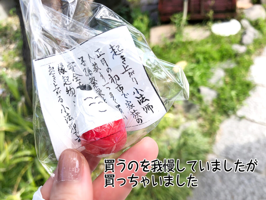 買うのを我慢していましたが買っちゃいました