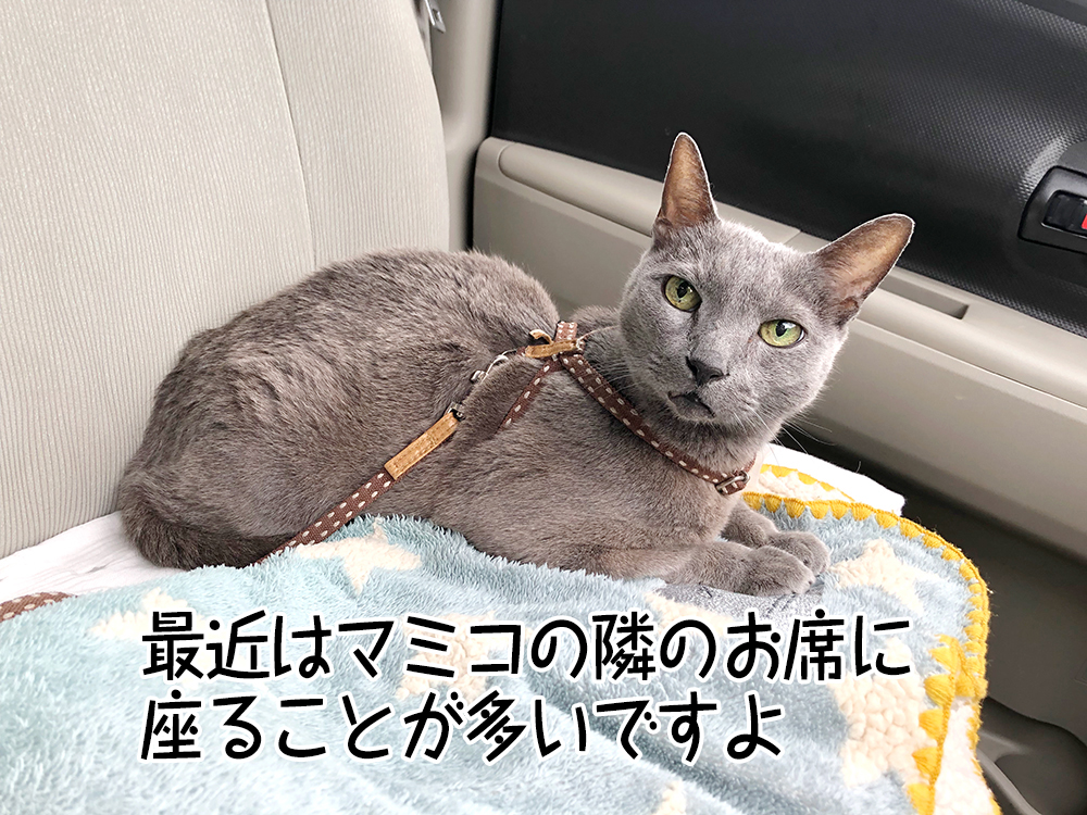 最近はマミコの隣のお席に座ることが多いですよ