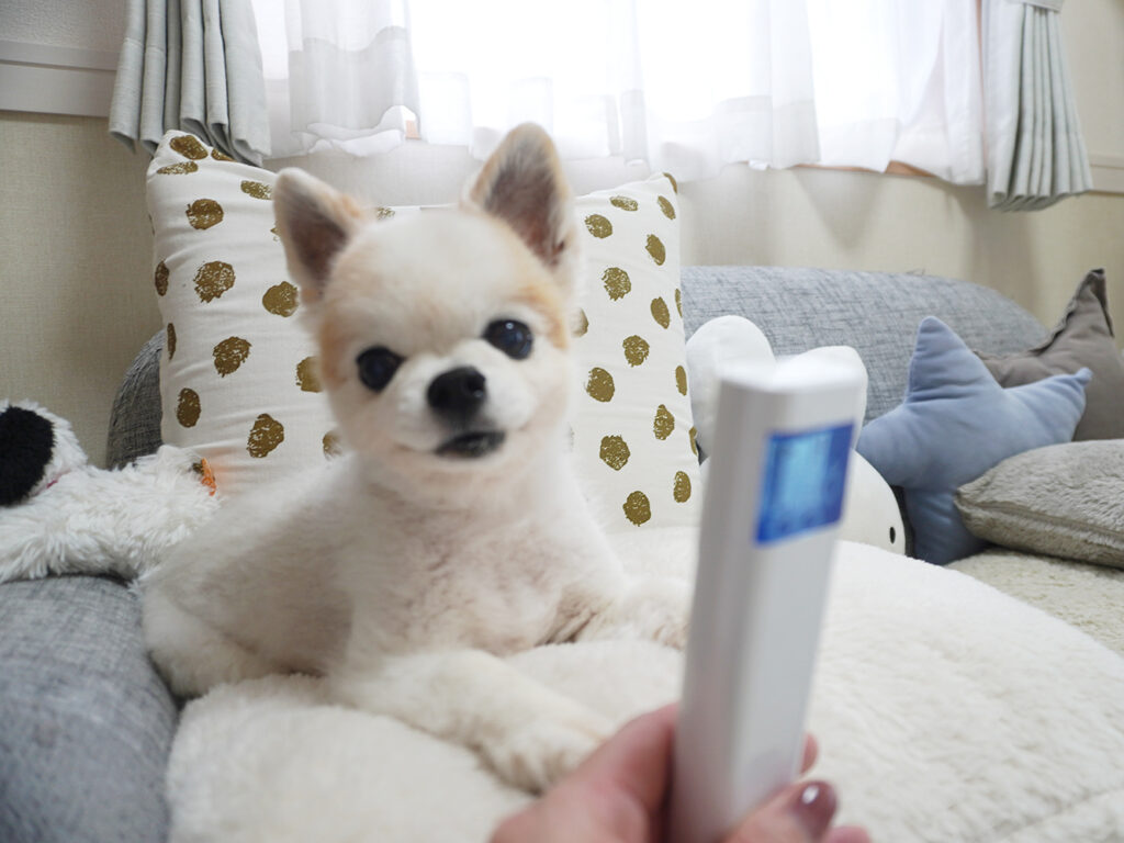 咳や呼吸が楽になるように買った、高濃度酸素発生器