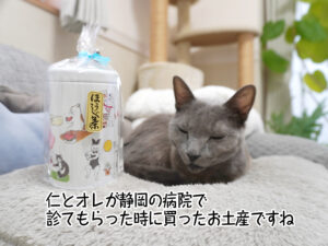 仁とオレが静岡の病院で診てもらった時に買ったお土産ですね