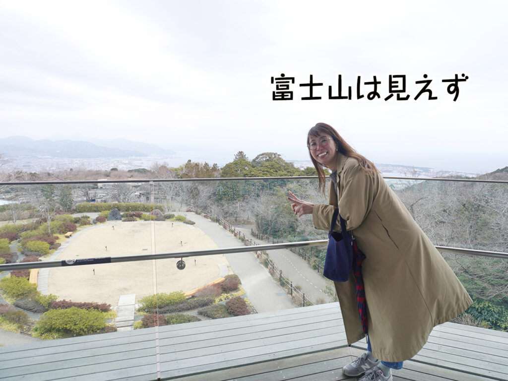 富士山は見えず