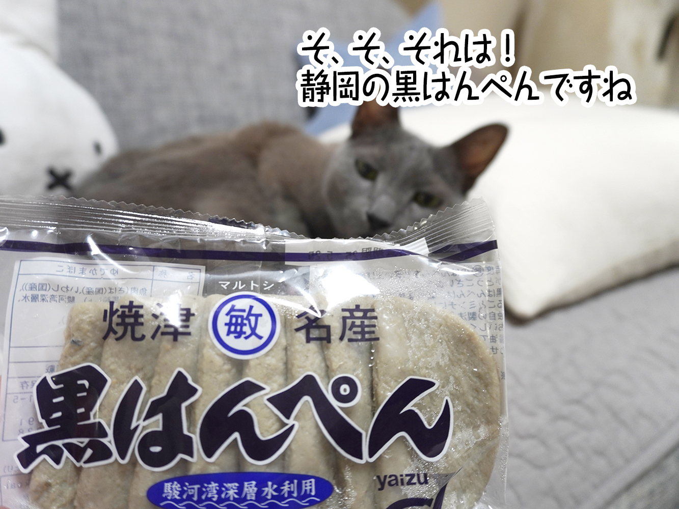 はじめまして！こはるです。我が家はまた3魂暮らしになりました ～命のバトンタッチは本当に不思議なところから～