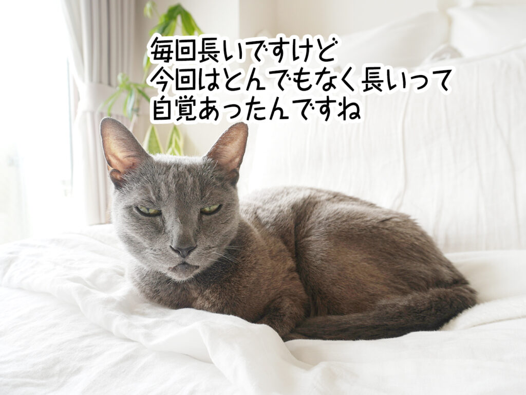毎回長いですけど今回はとんでもなく長いって自覚あったんですね